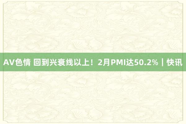 AV色情 回到兴衰线以上！2月PMI达50.2%｜快讯