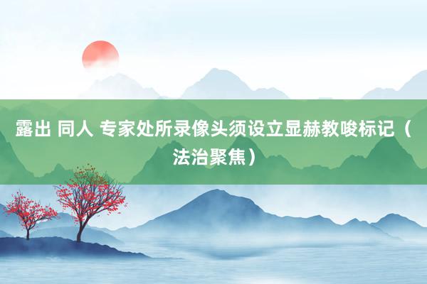 露出 同人 专家处所录像头须设立显赫教唆标记（法治聚焦）