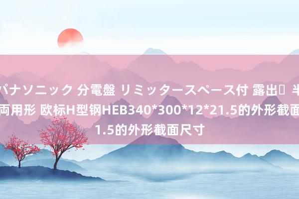 パナソニック 分電盤 リミッタースペース付 露出・半埋込両用形 欧标H型钢HEB340*300*12*21.5的外形截面尺寸