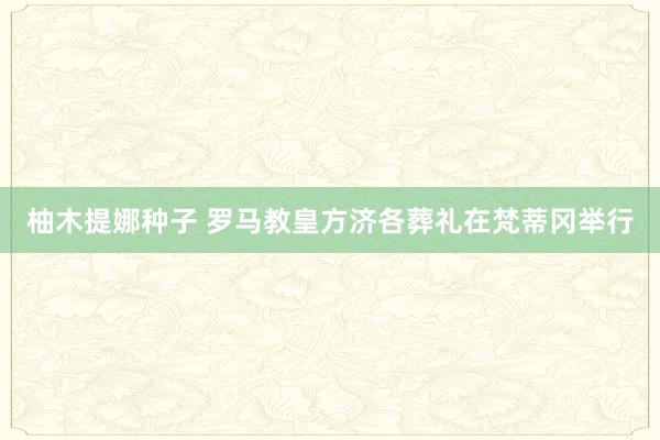 柚木提娜种子 罗马教皇方济各葬礼在梵蒂冈举行