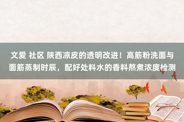 文爱 社区 陕西凉皮的透明改进！高筋粉洗面与面筋蒸制时辰，配好处料水的香料熬煮浓度检测