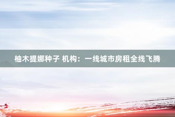 柚木提娜种子 机构：一线城市房租全线飞腾