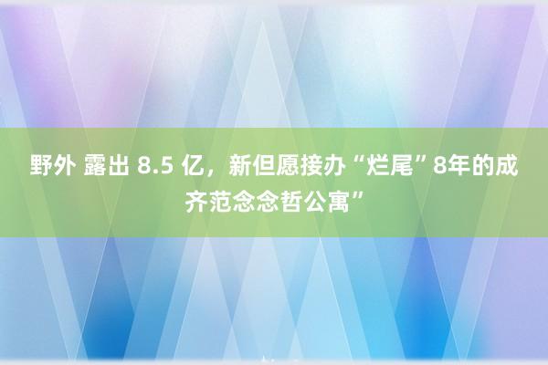 野外 露出 8.5 亿，新但愿接办“烂尾”8年的成齐范念念哲公寓”