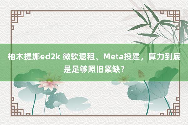 柚木提娜ed2k 微软退租、Meta投建，算力到底是足够照旧紧缺？
